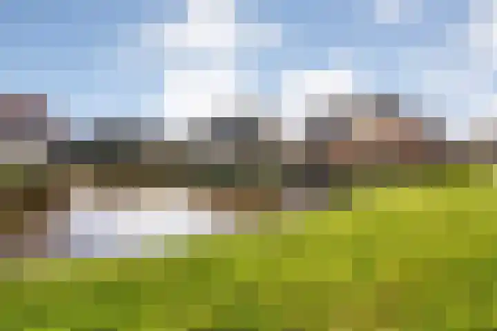 Bronforel 8 Nieuwleusen thumbnail 52
