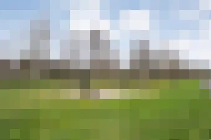 Bronforel 8 Nieuwleusen thumbnail 53