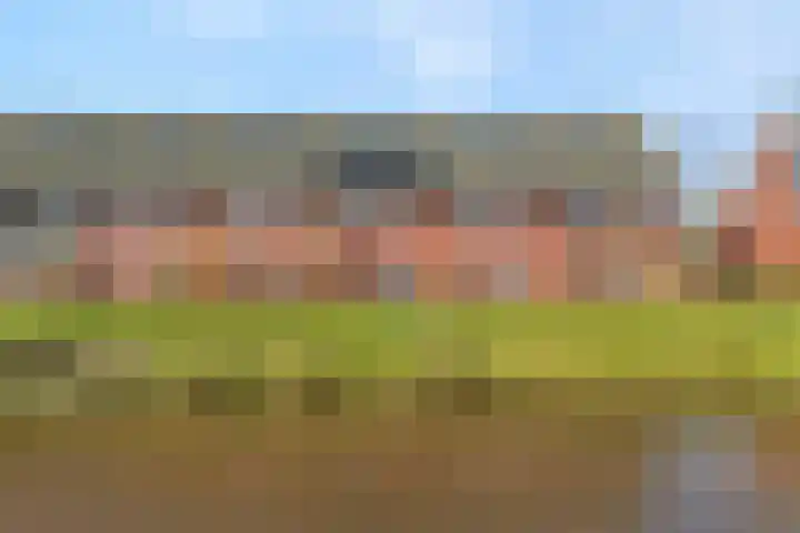 Bronforel 8 Nieuwleusen thumbnail 6