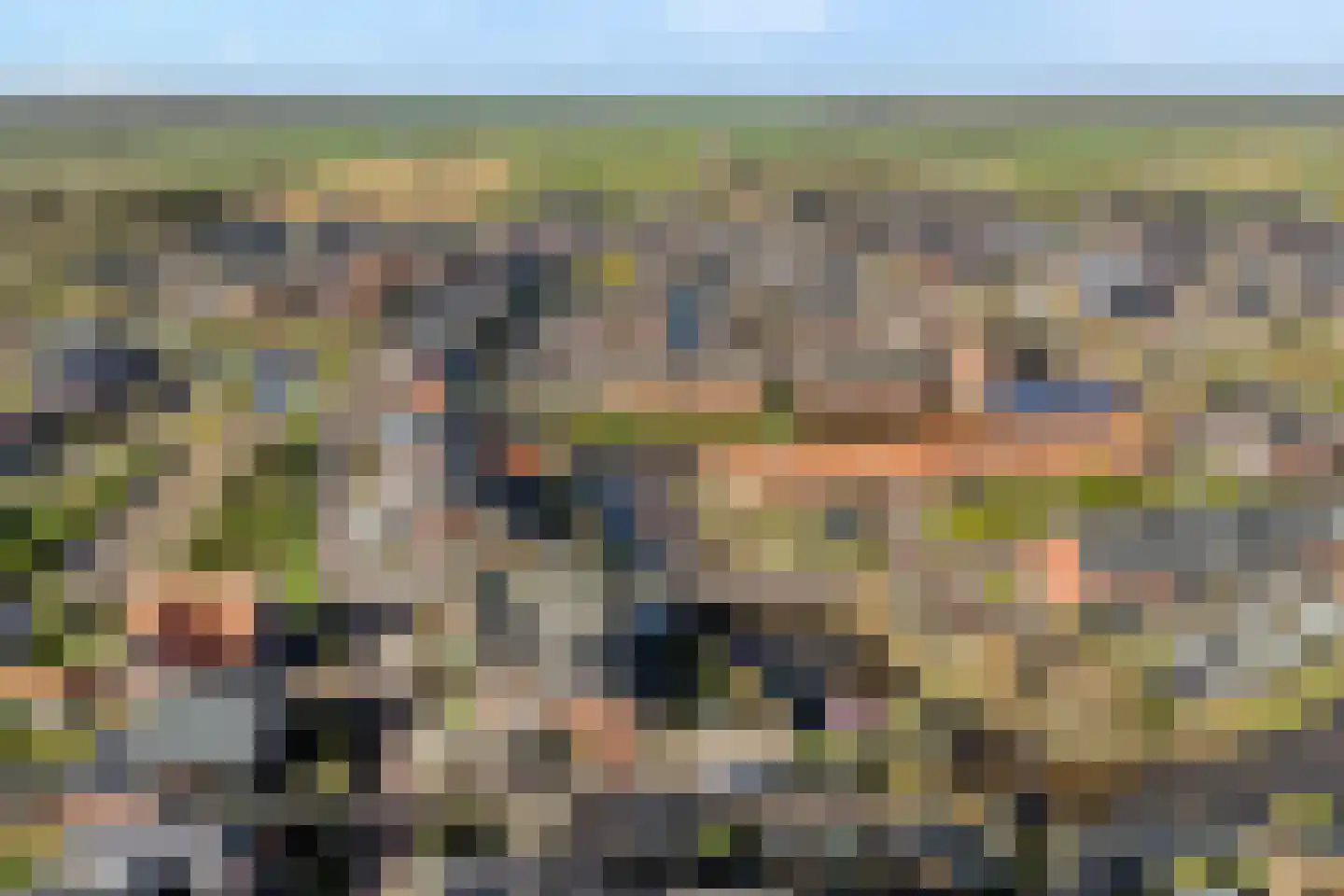 Bronforel 8 Nieuwleusen thumbnail 7
