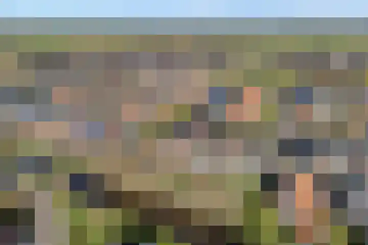 Bronforel 8 Nieuwleusen thumbnail 8