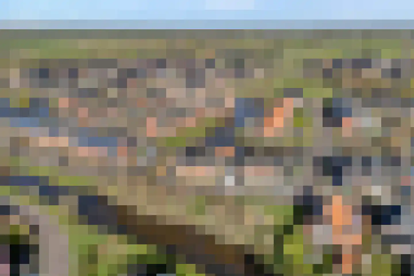 Bronforel 8 Nieuwleusen thumbnail 8