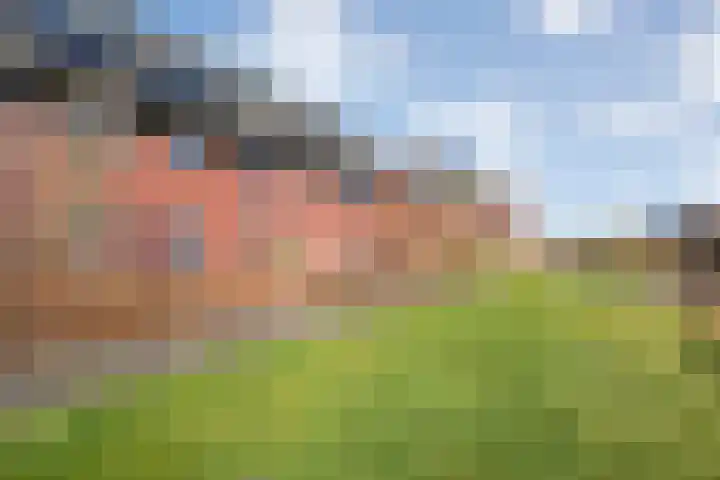 Bronforel 8 Nieuwleusen thumbnail 9