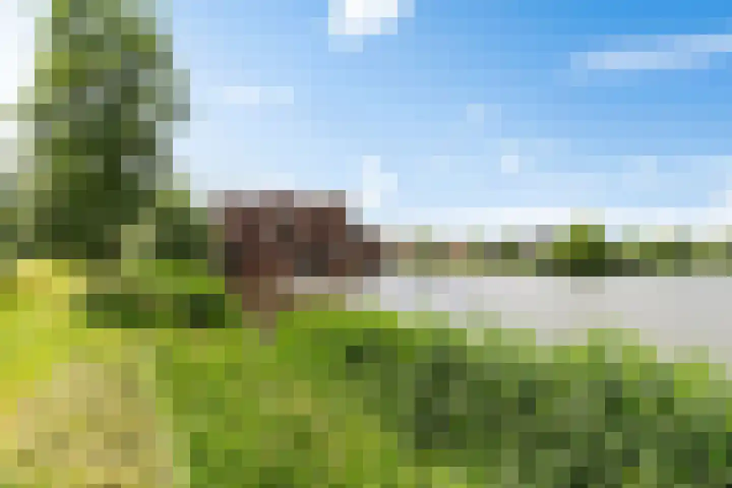 Bronforelstraat 12 Hengelo thumbnail 13