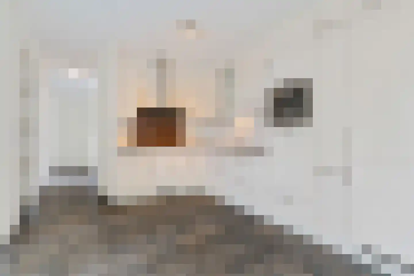 Bronforelstraat 12 Hengelo thumbnail 26