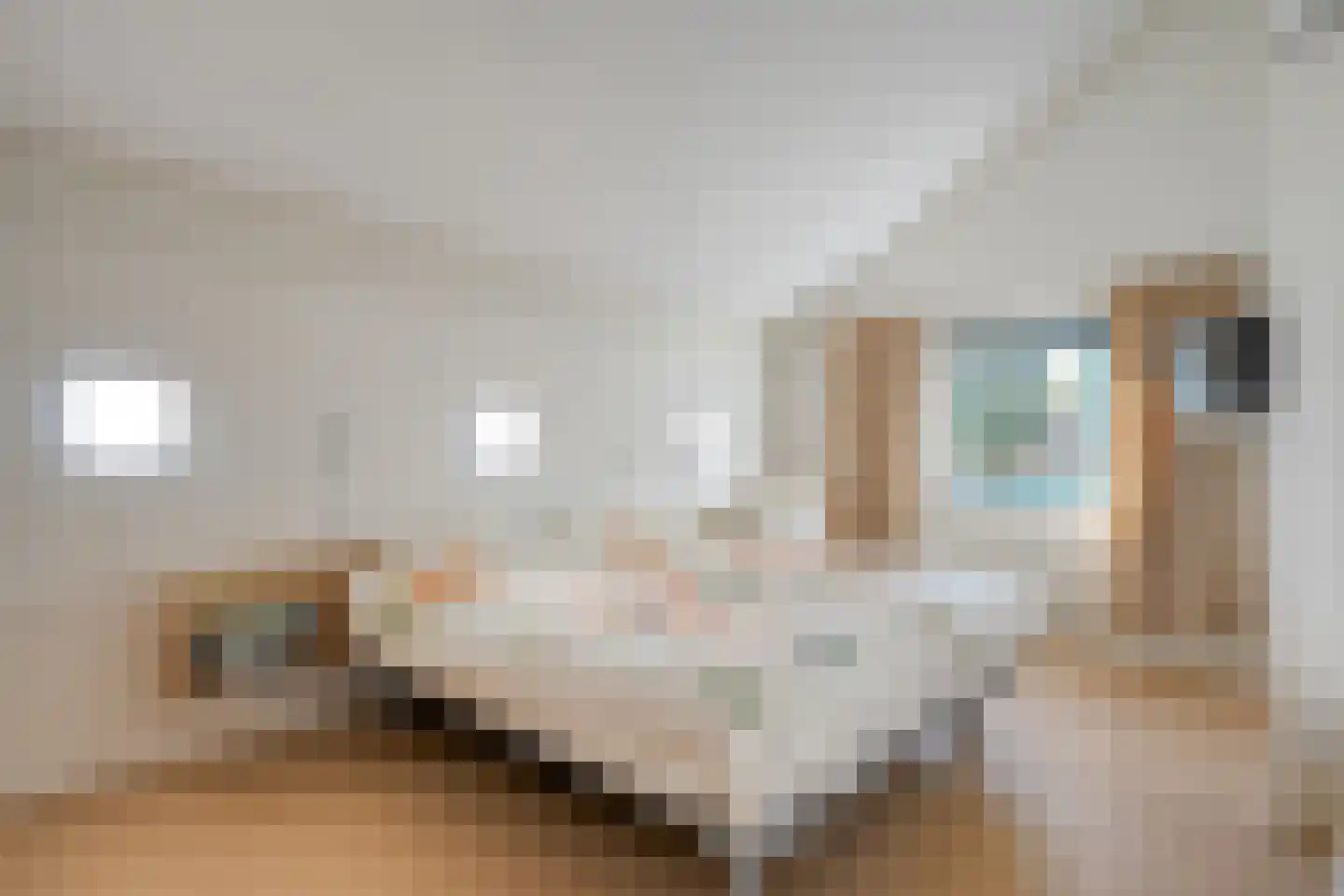Bronforelstraat 150 Hengelo thumbnail 28