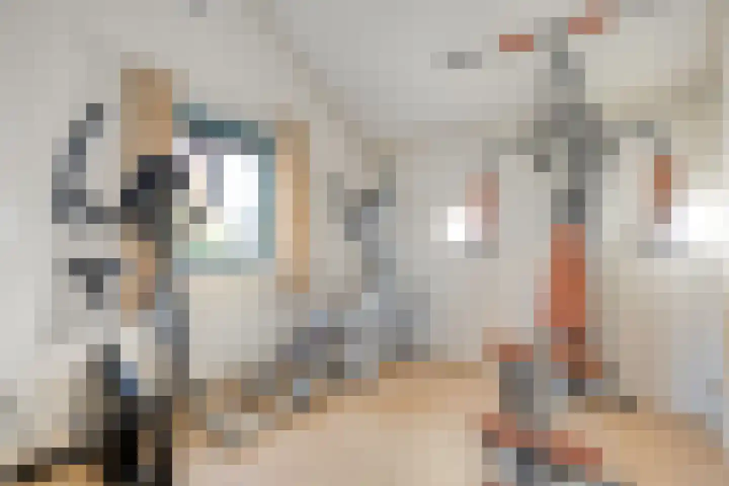 Bronforelstraat 150 Hengelo thumbnail 32