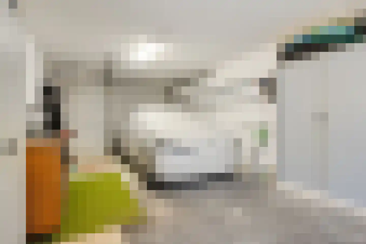 Bronforelstraat 150 Hengelo thumbnail 40