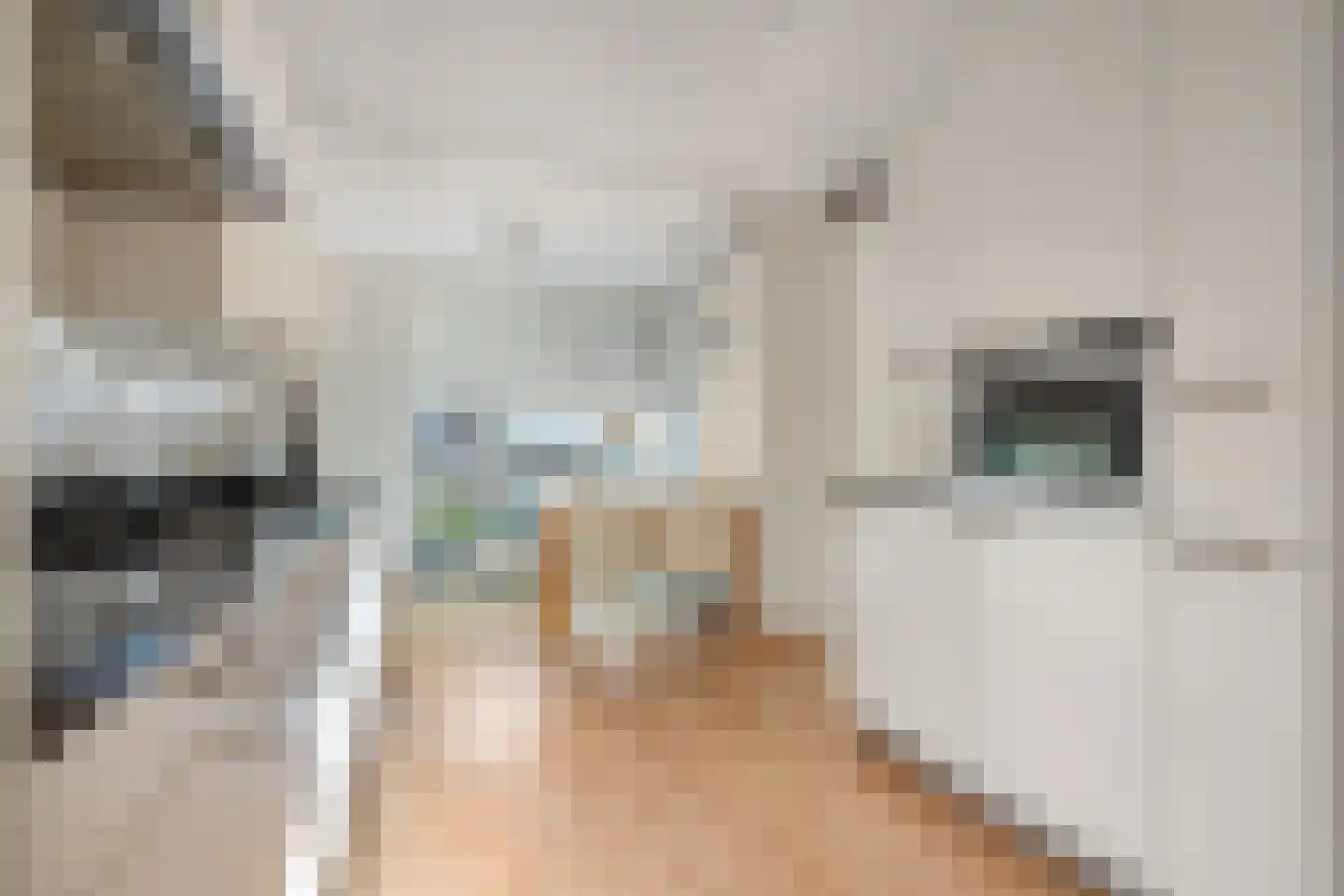 Bronforelstraat 150 Hengelo thumbnail 5