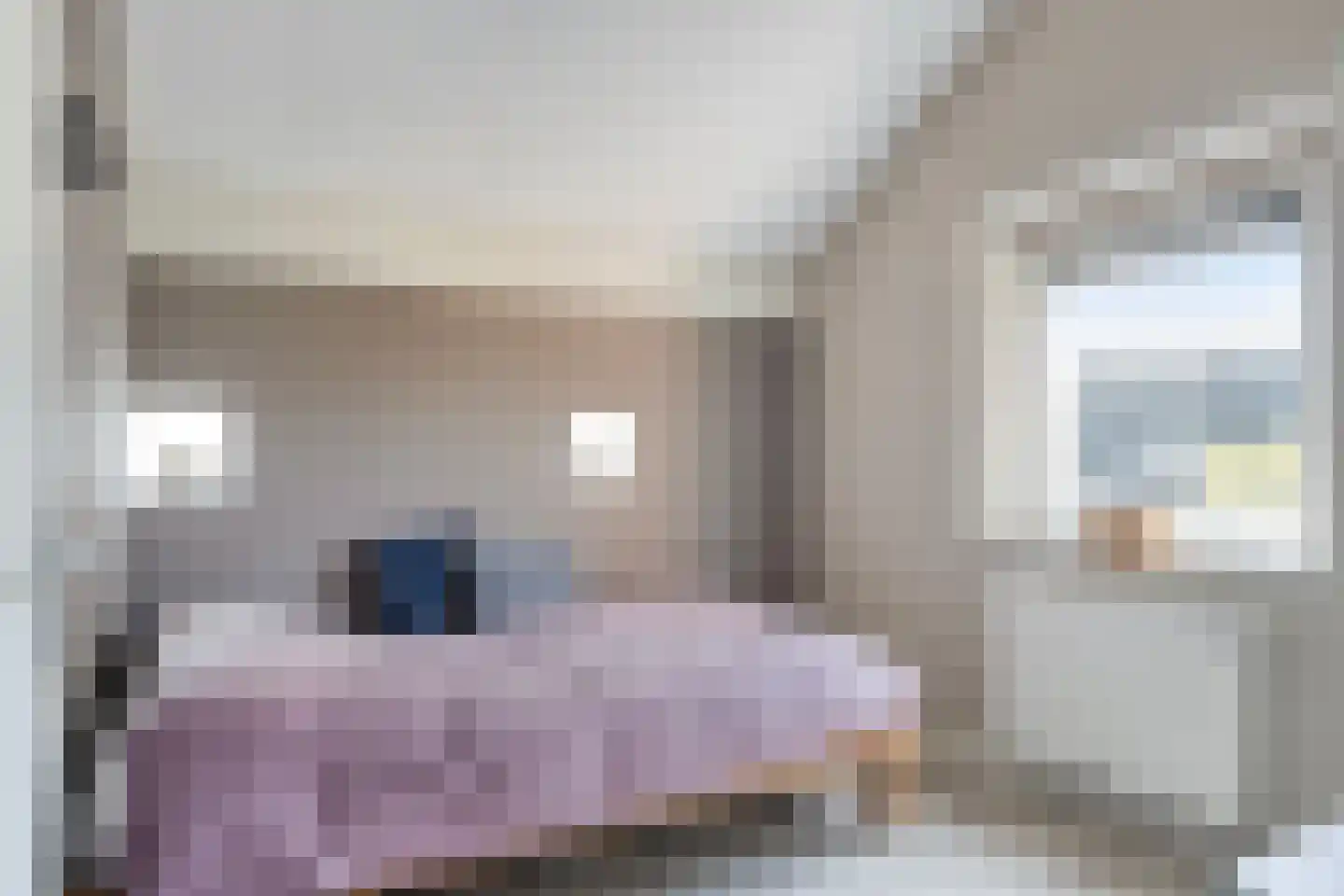Bronforelstraat 152 Hengelo thumbnail 24