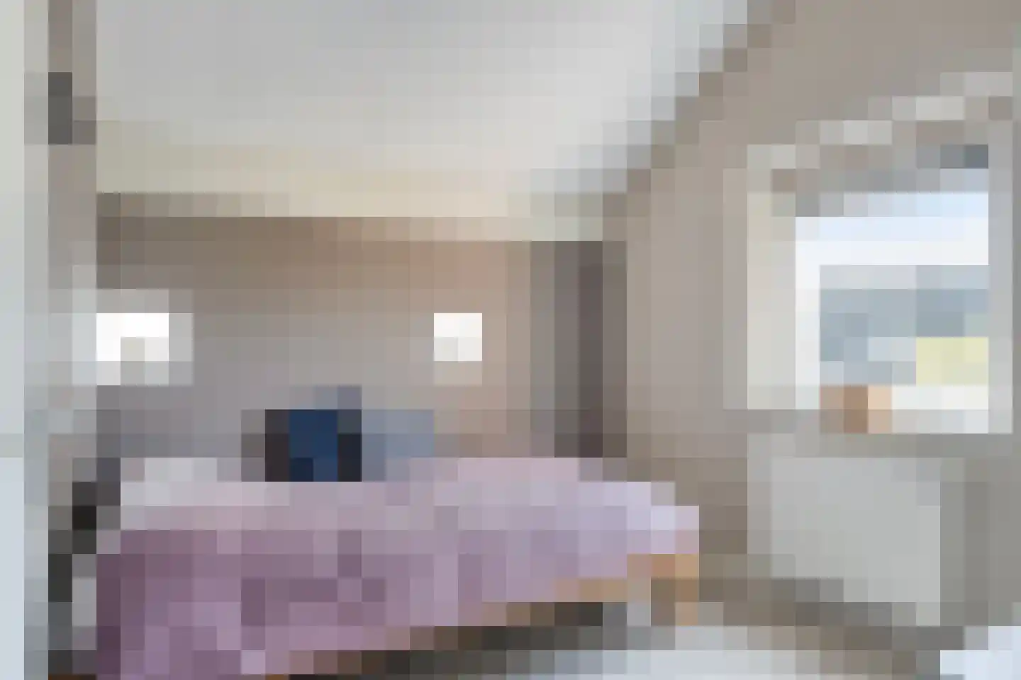 Bronforelstraat 152 Hengelo thumbnail 27