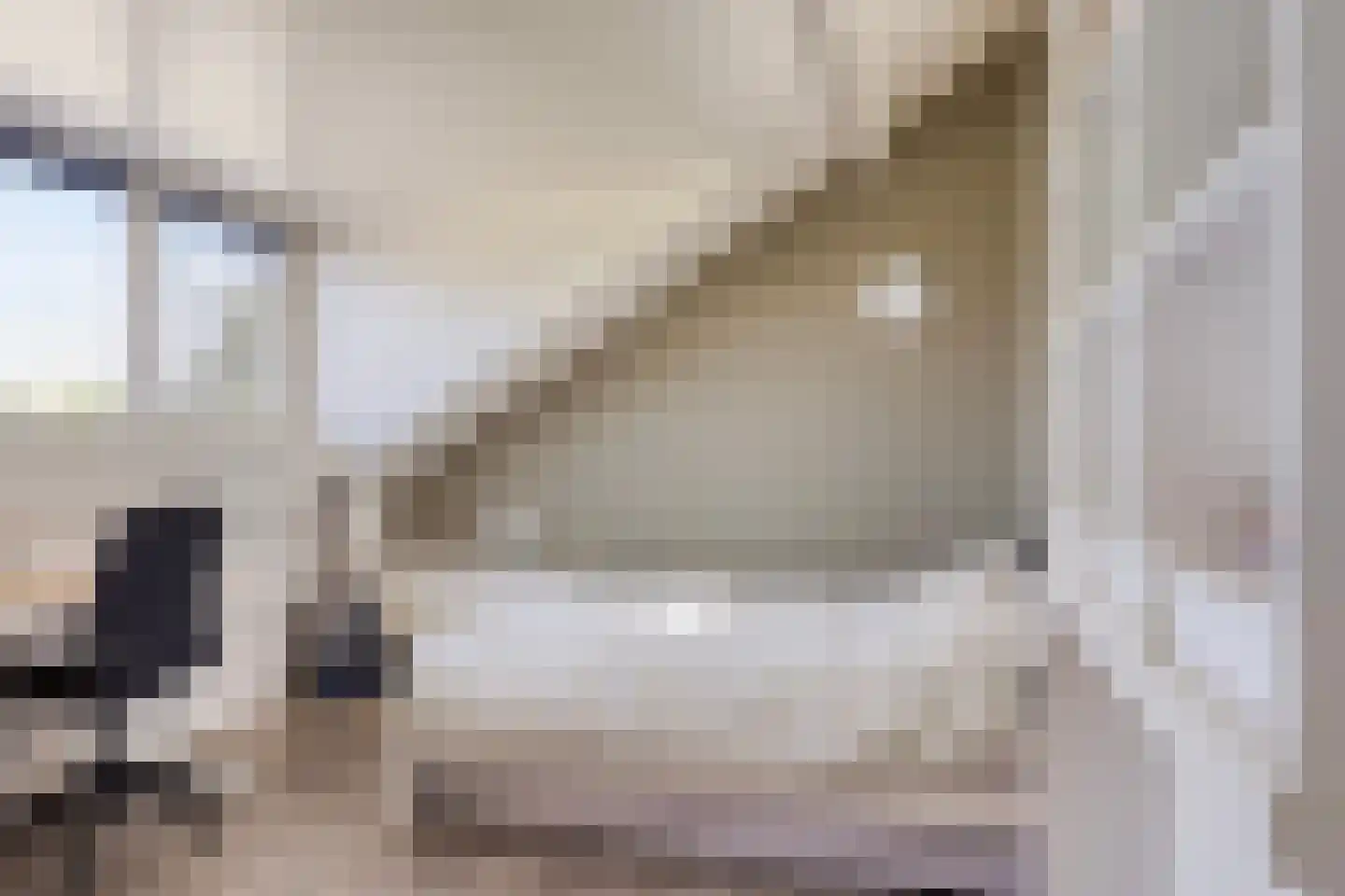 Bronforelstraat 152 Hengelo thumbnail 30