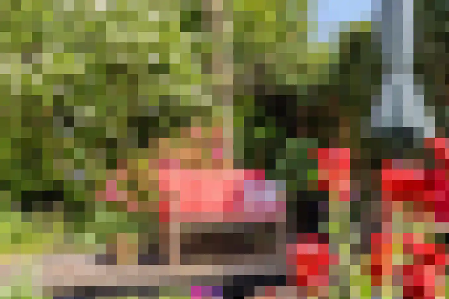 Bronforelstraat 152 Hengelo thumbnail 32
