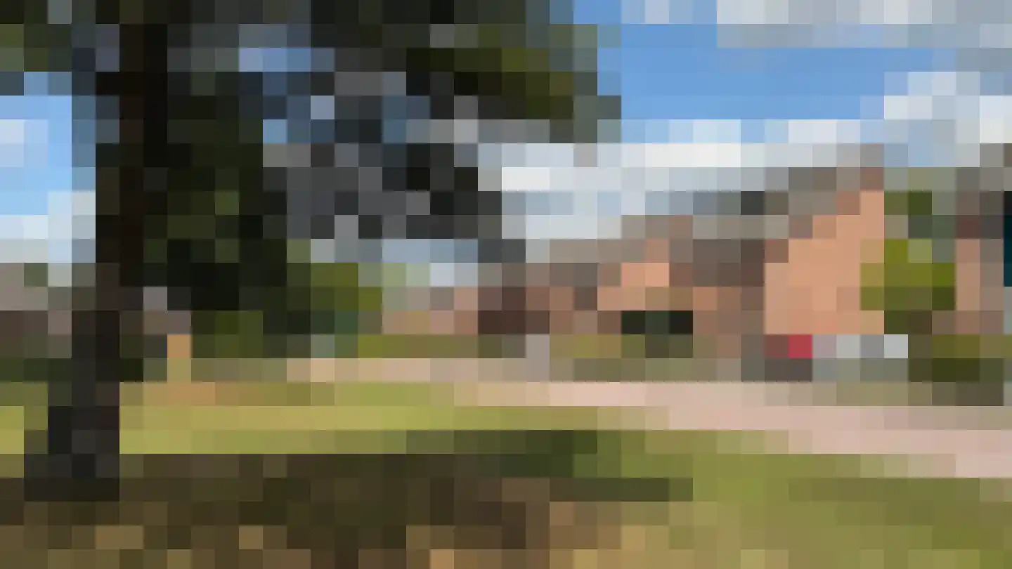 Bronforelstraat 152 Hengelo thumbnail 36