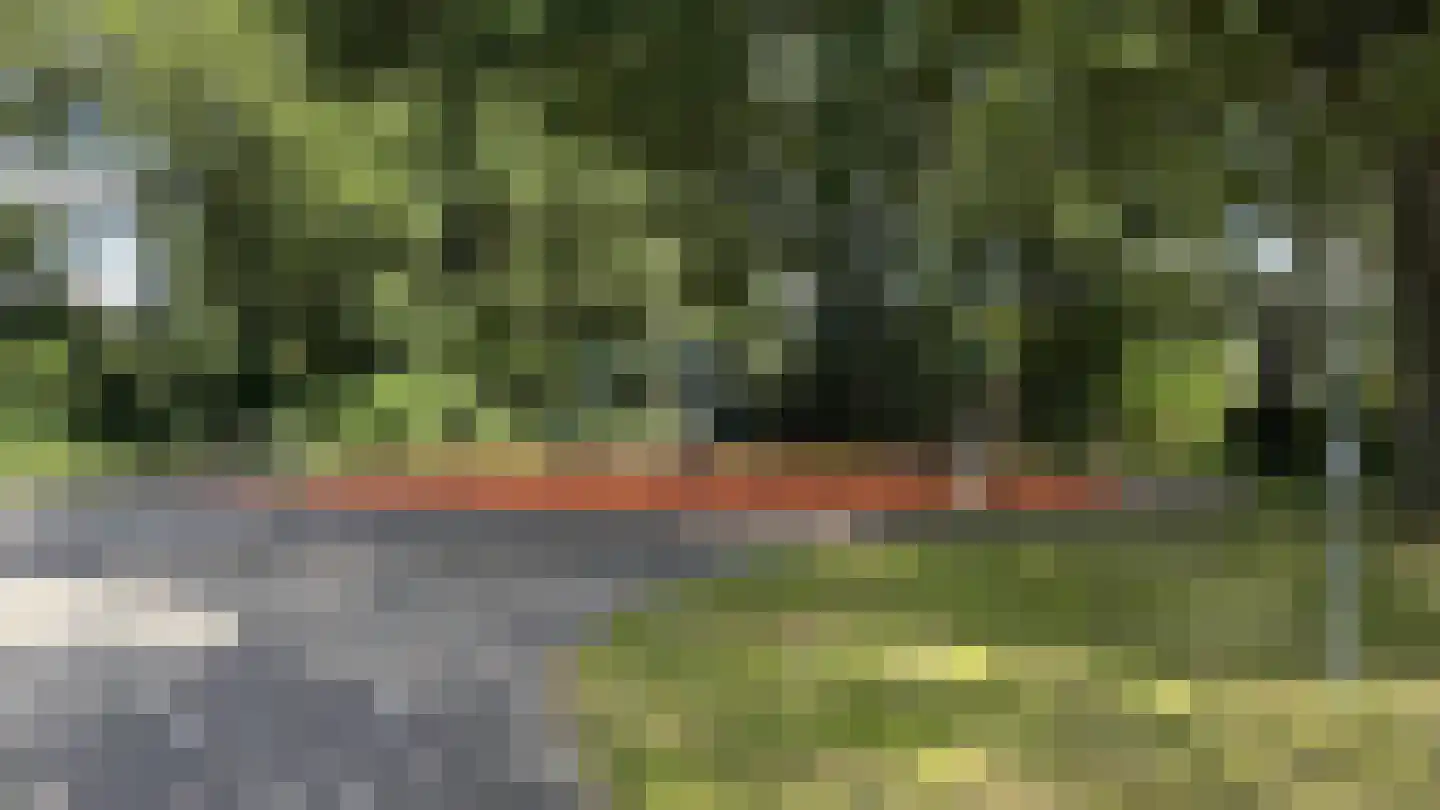 Bronforelstraat 152 Hengelo thumbnail 41