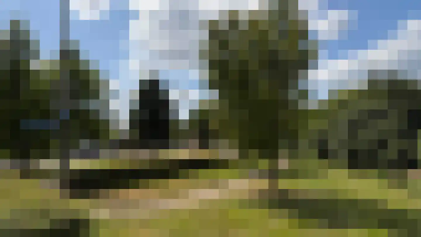 Bronforelstraat 152 Hengelo thumbnail 42