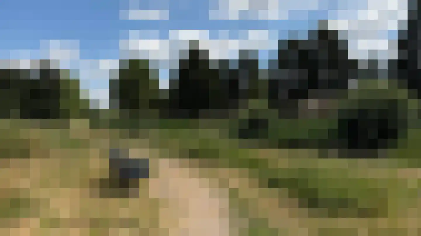 Bronforelstraat 152 Hengelo thumbnail 44