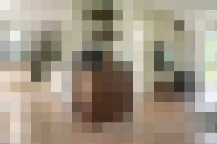 Bronforelstraat 44 Hengelo thumbnail 12