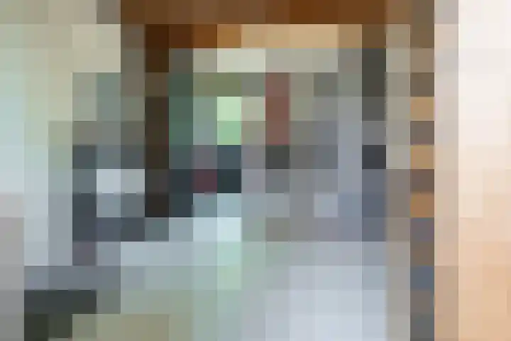 Bronforelstraat 44 Hengelo thumbnail 19