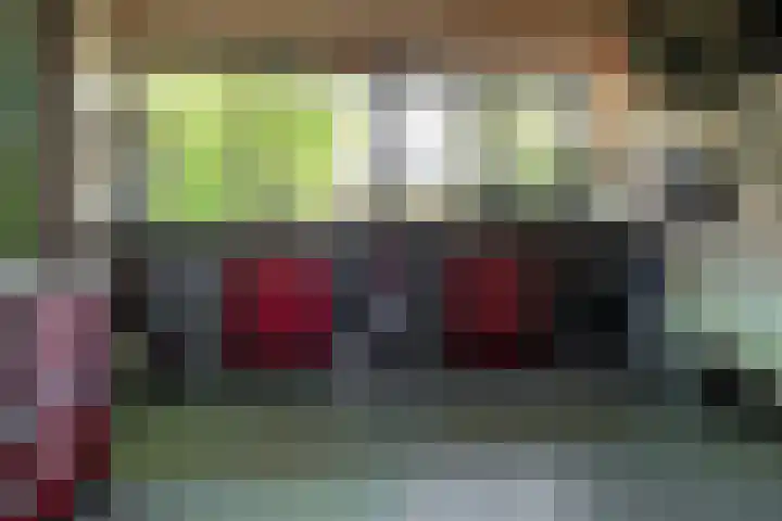 Bronforelstraat 44 Hengelo thumbnail 21