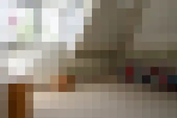 Bronforelstraat 44 Hengelo thumbnail 36