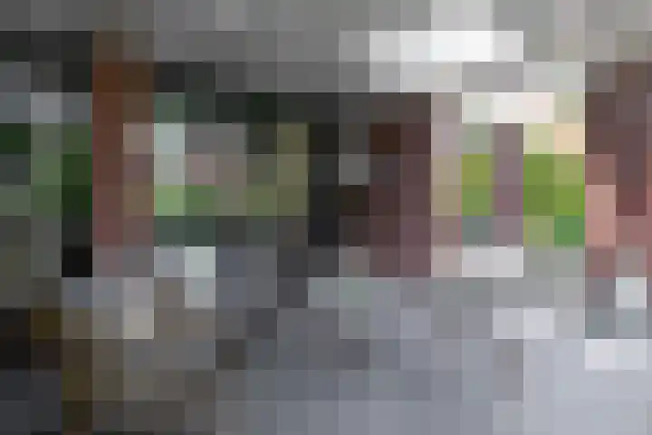 Bronforelstraat 44 Hengelo thumbnail 39