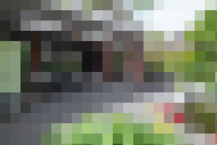 Bronforelstraat 44 Hengelo thumbnail 41