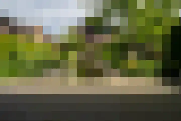 Bronforelstraat 44 Hengelo thumbnail 42