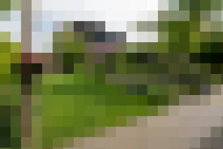 Bronforelstraat 44 Hengelo thumbnail 43
