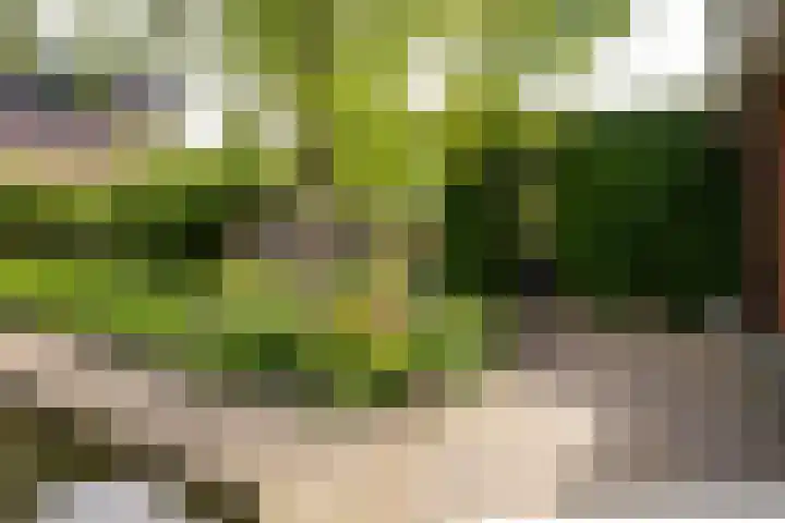 Bronforelstraat 44 Hengelo thumbnail 44