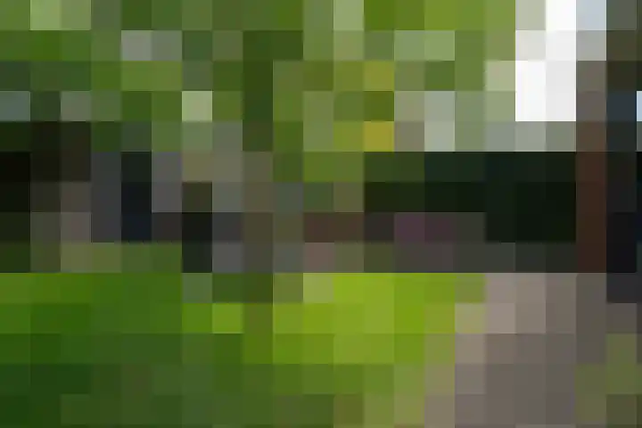 Bronforelstraat 44 Hengelo thumbnail 46
