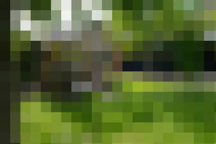Bronforelstraat 44 Hengelo thumbnail 47