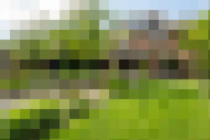 Bronforelstraat 44 Hengelo thumbnail 51