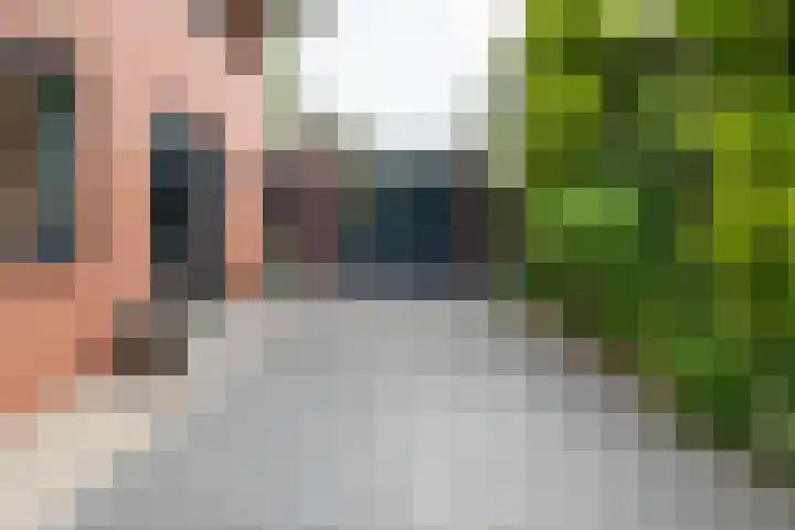 Bronforelstraat 44 Hengelo thumbnail 52