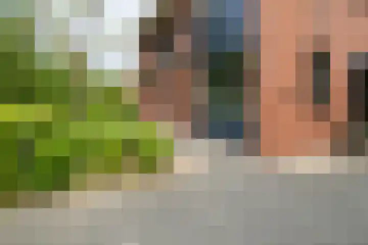 Bronforelstraat 44 Hengelo thumbnail 53