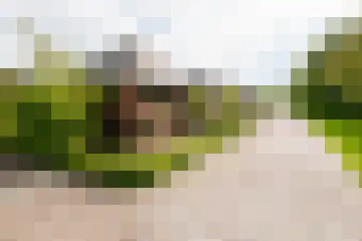 Bronforelstraat 44 Hengelo thumbnail 56