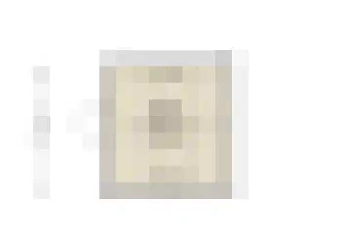 Bronforelstraat 44 Hengelo thumbnail 67
