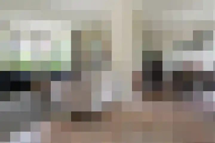 Bronforelstraat 44 Hengelo thumbnail 9