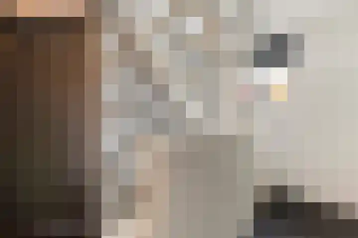 Bronforelstraat 69 Hengelo thumbnail 26