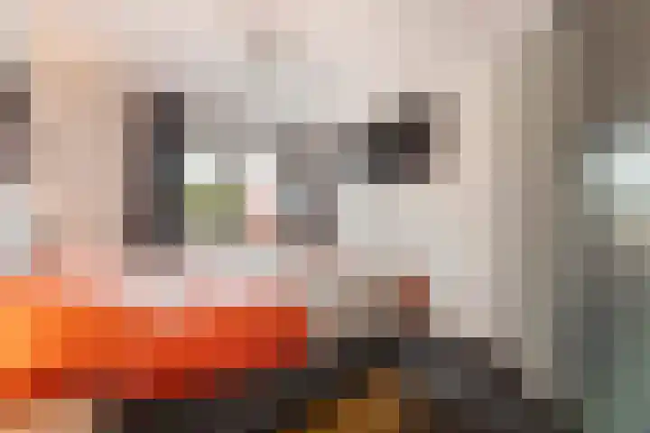 Bronforelstraat 69 Hengelo thumbnail 31