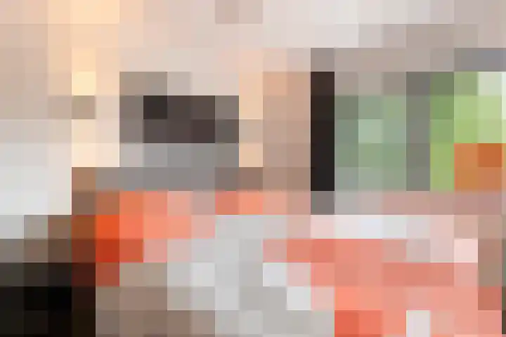 Bronforelstraat 69 Hengelo thumbnail 32