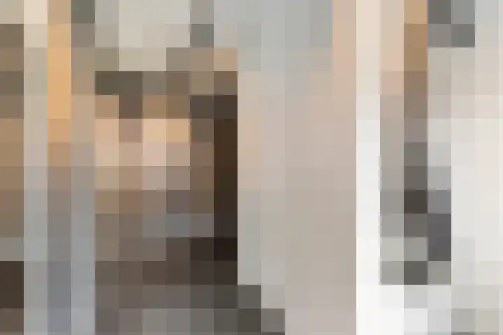 Bronforelstraat 69 Hengelo thumbnail 33