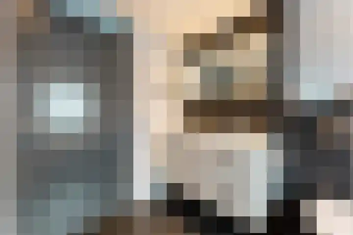 Bronforelstraat 69 Hengelo thumbnail 36