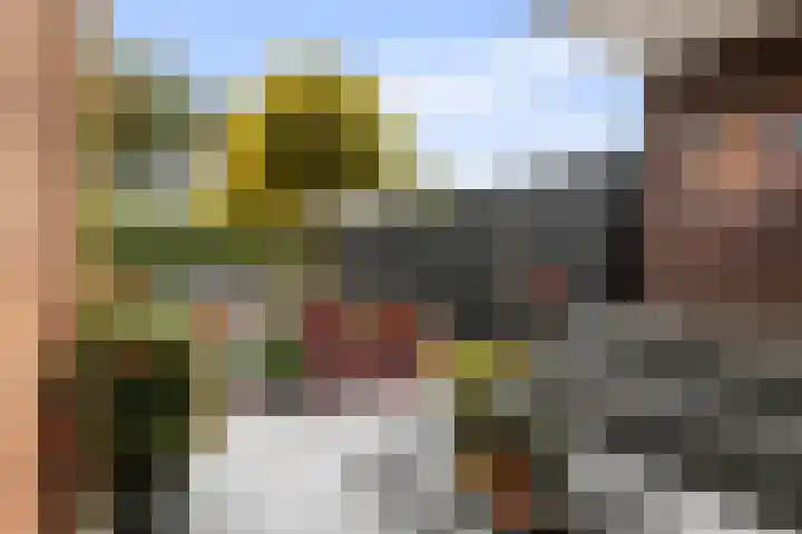 Bronforelstraat 69 Hengelo thumbnail 4