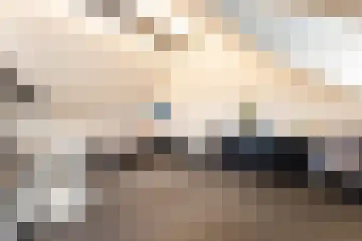 Bronforelstraat 69 Hengelo thumbnail 40