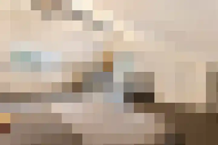 Bronforelstraat 69 Hengelo thumbnail 42