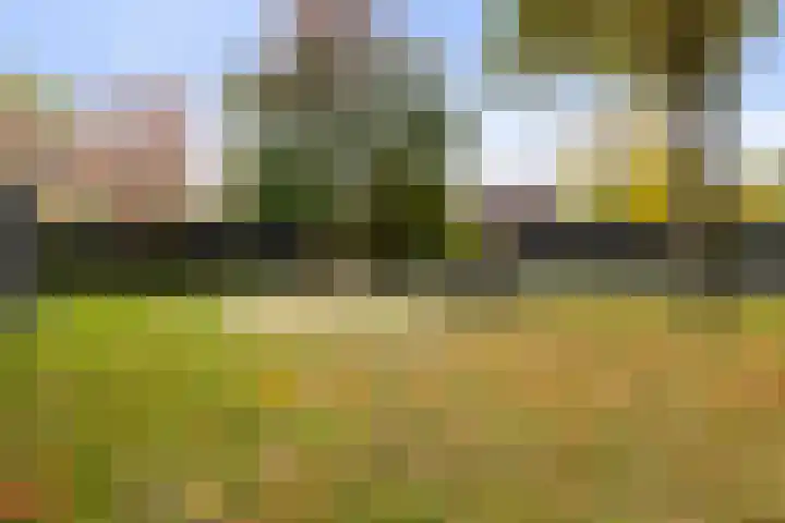 Bronforelstraat 69 Hengelo thumbnail 44