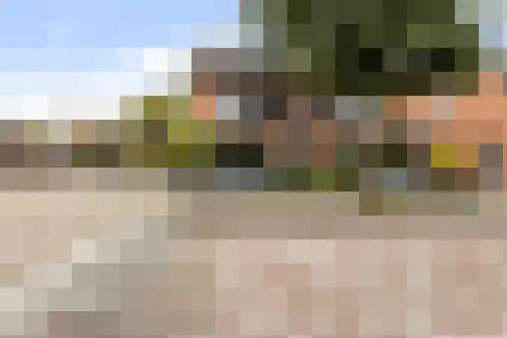 Bronforelstraat 69 Hengelo thumbnail 5