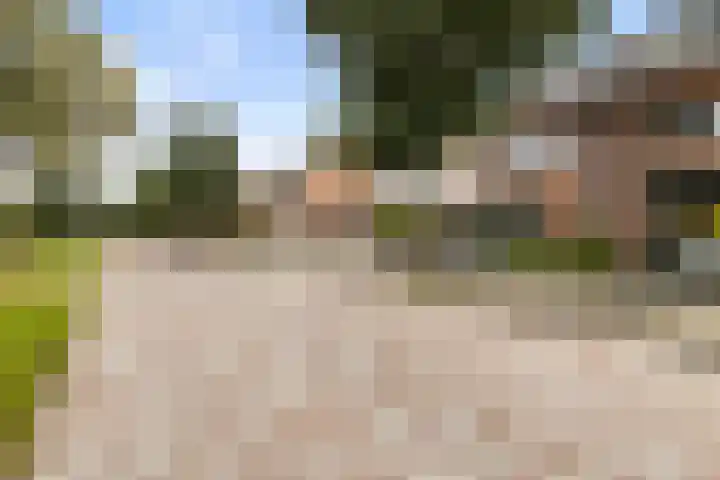 Bronforelstraat 69 Hengelo thumbnail 6