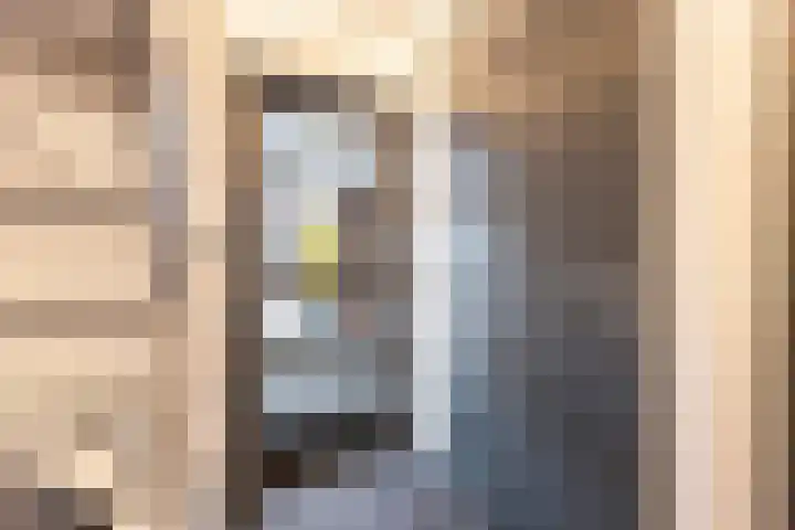 Bronforelstraat 69 Hengelo thumbnail 7